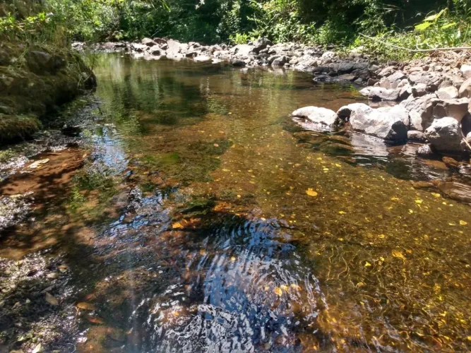 Terreno próximo a Serra do Rio do Rastro