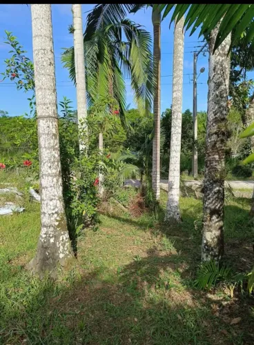 Terreno para chácara em Itapoa SC (com registro de imóveis )