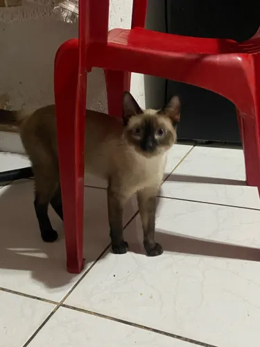 Doação