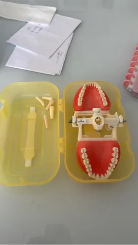Manequim pronew odontologia