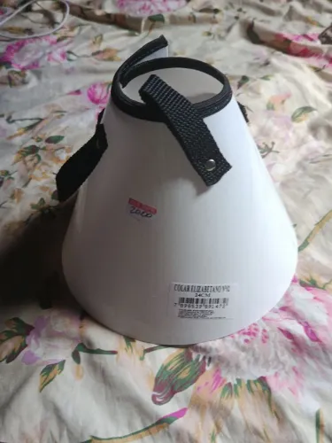 Colar elizabetano n02 para pet