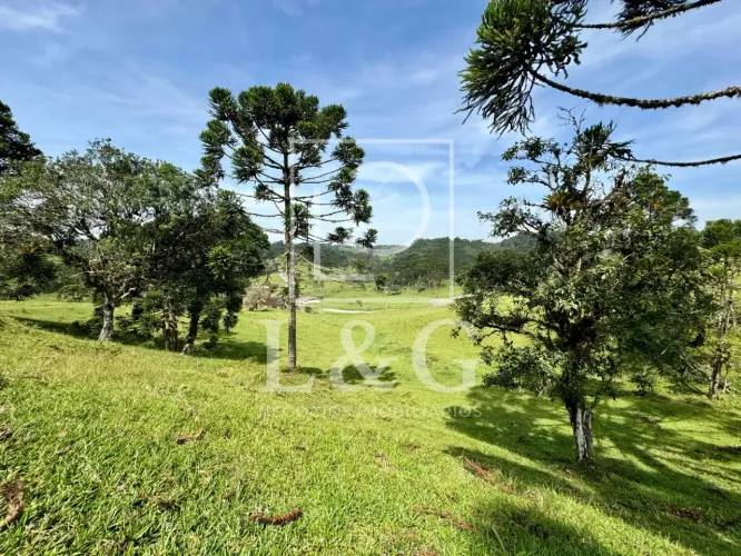 Terreno em Campo Alegre.