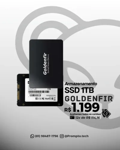 SSD Goldenfir 1TB