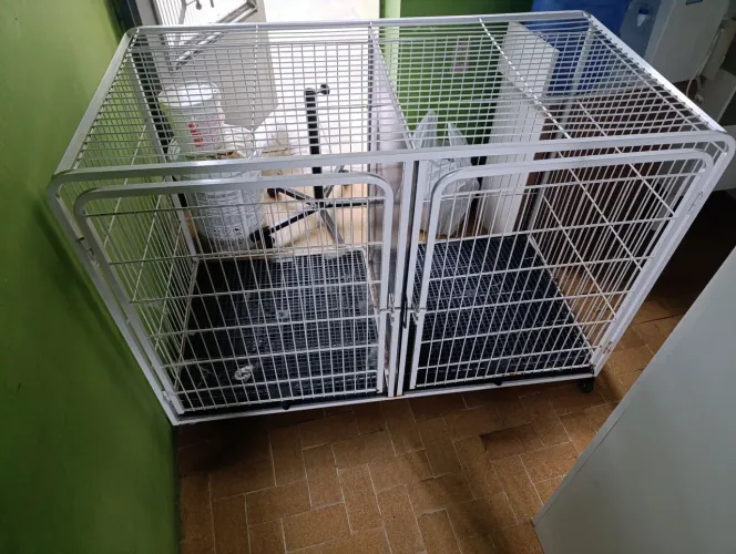 Vendo gaiola pet
