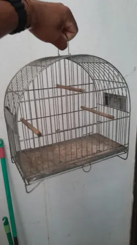 Gaiola de passarinho <br>R$50<br>(Entrego na várzea)