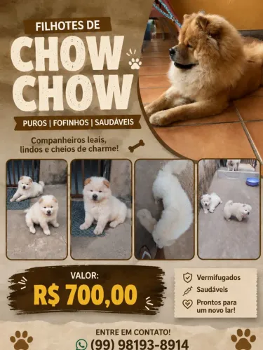 Lindos Chow-chow