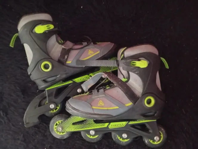 PATINS