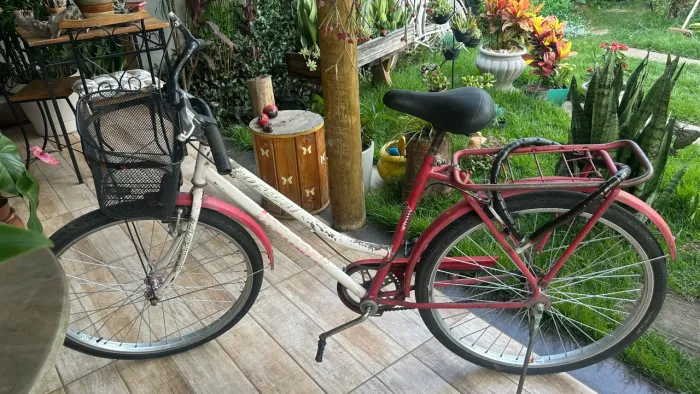 Bicicleta bike Monark Tropical Aro 26 Feminina com Cestinha e Bagageiro