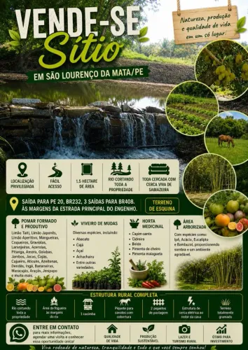 SÍTIO À VENDA - SÃO LOURENÇO DA MATA/PE