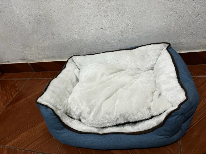 Cama para pet ?