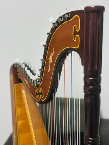 HARPA PARAGUAIA A VENDA - Excelente Estado