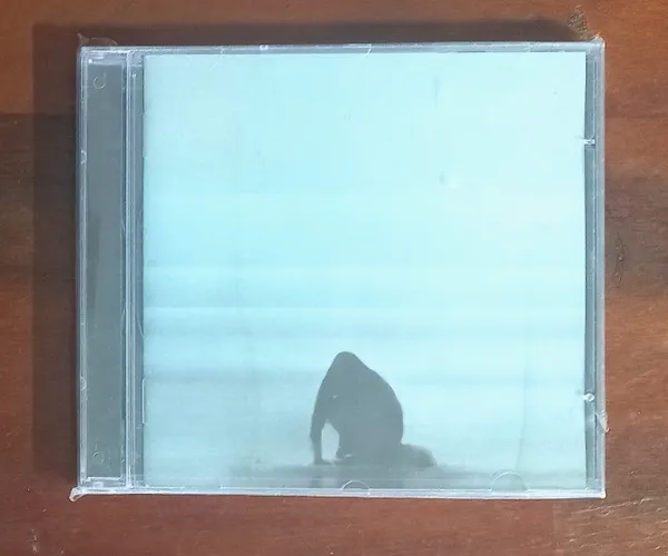 CD lacrado Foals What Went Down 2015