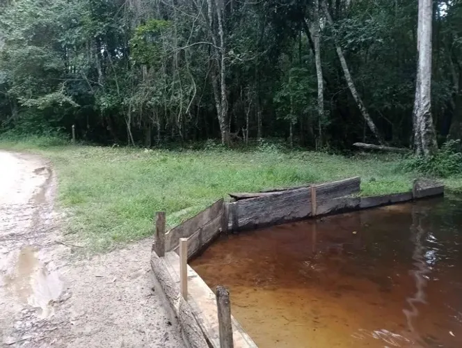 100 hectares por 750 mil reais proximo de Santa Luzia do Pará 
