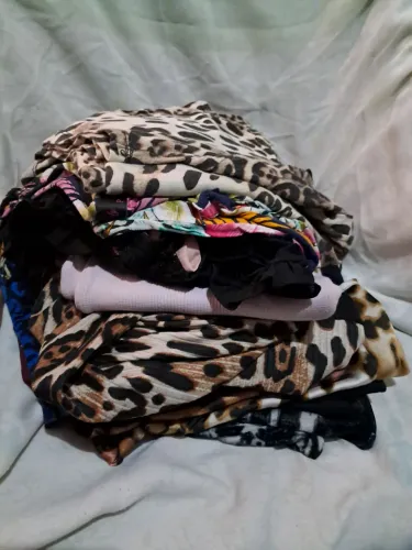 Lote de blusas