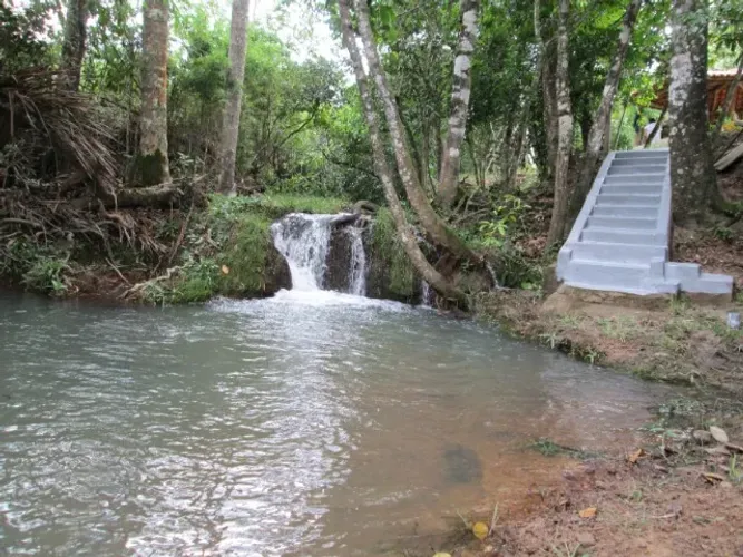 FAZENDA 20 HECTARES, ESCRITURADA, ASFALTO NA PORTA