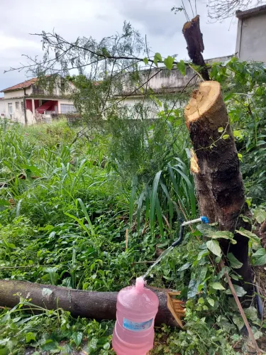Lote/Terreno para venda possui 35000 metros quadrados em Riachuelo - Rio de Janeiro - RJ