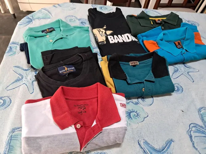 Pacote Completo Camisas Country Vintage Diversas Novas e Usadas Tam.G e G.G.