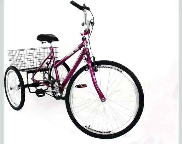 Bicicleta Triciclo Adulto Aro 26 - Violeta - Completa e Montada!