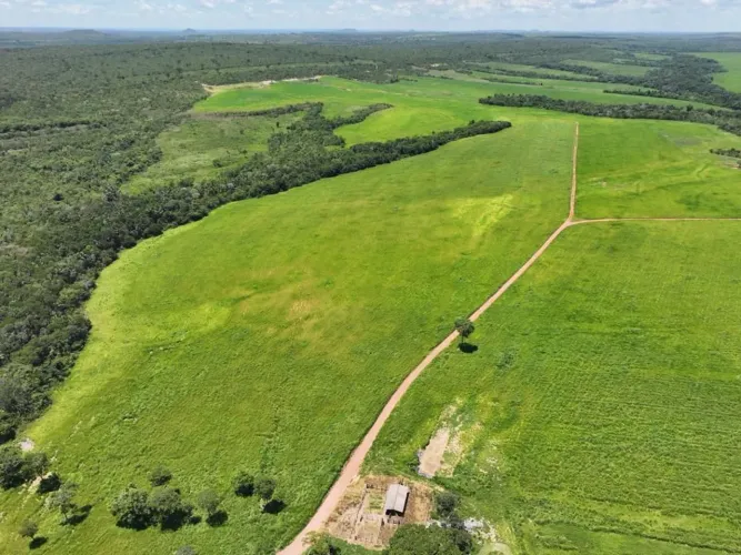 Fazenda de arrendamento pra soja, 900hec plantando mais de dez anos em barra do garça