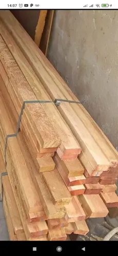 ripao Terra firme, tábua de Azimbre 