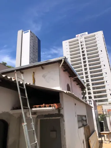 Calha rufos pingadeira,em geral