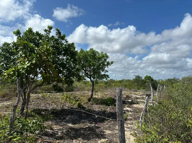 Terreno em barreirinha