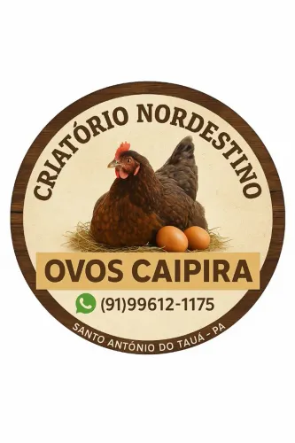 Temos Frangos de corte