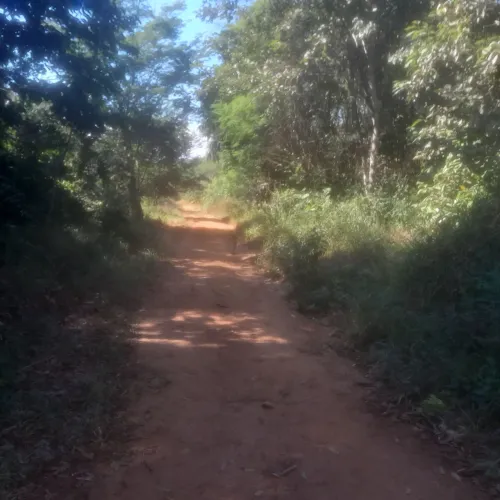 Lote de 300 mts 