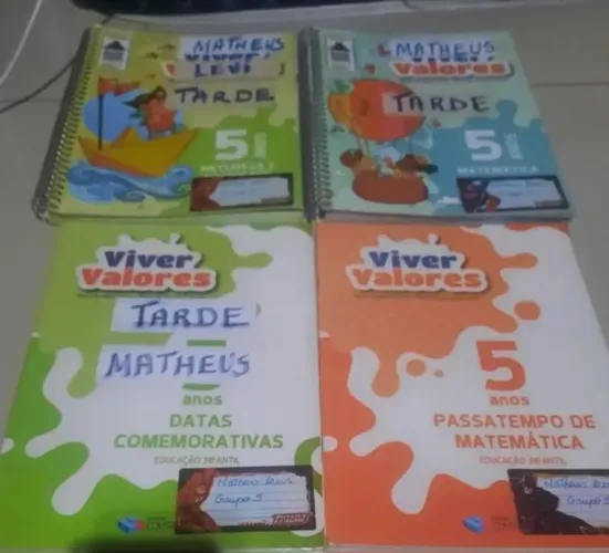 LIVRO - Viver Valores 05 anos
