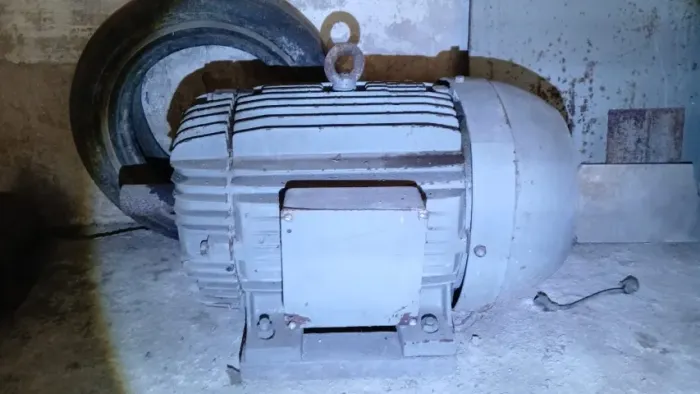 Motor WEG