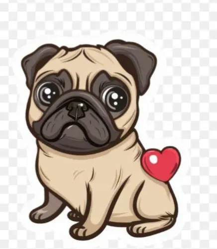 doação você tem uma cachorrinha para doar 
