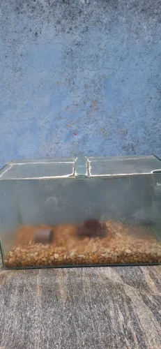 Aquario com sump