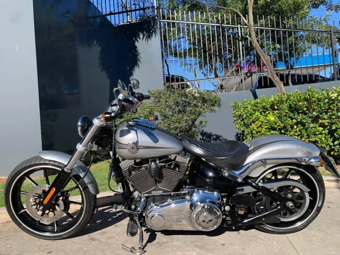 HARLEY-DAVIDSON SOFTAIL BREAKOUT