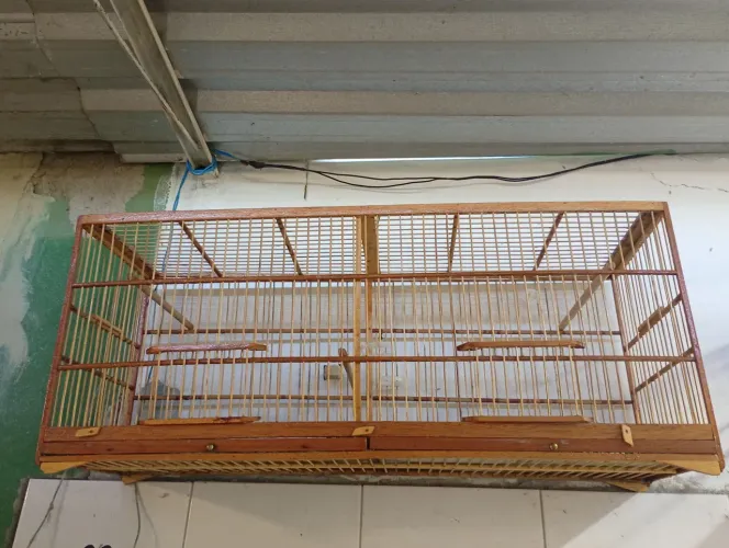 Vendo voador