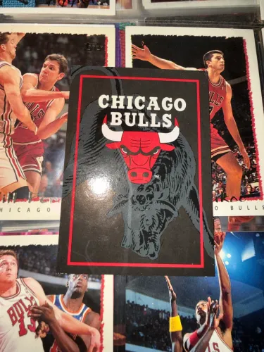 1994-95 SkyBox NBA Hoops #394 ? Chicago Bulls Team Card