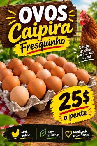 Ovos de galinha caipira