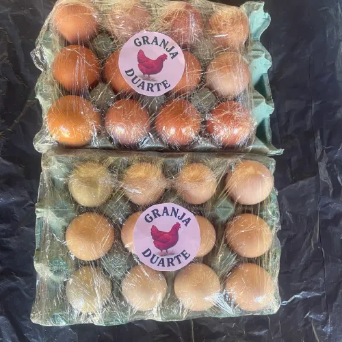 Ovos de galinha caipira