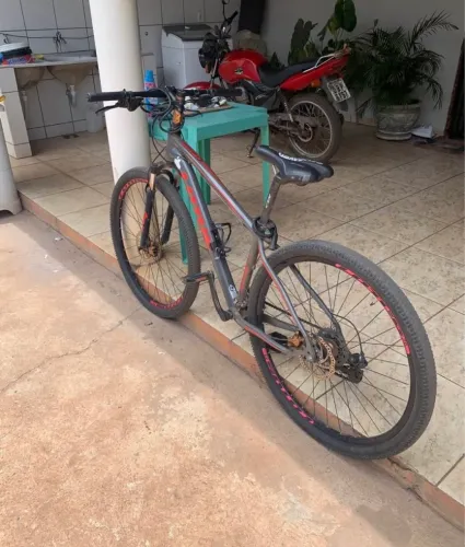 Bicicleta lótus Aro 29 