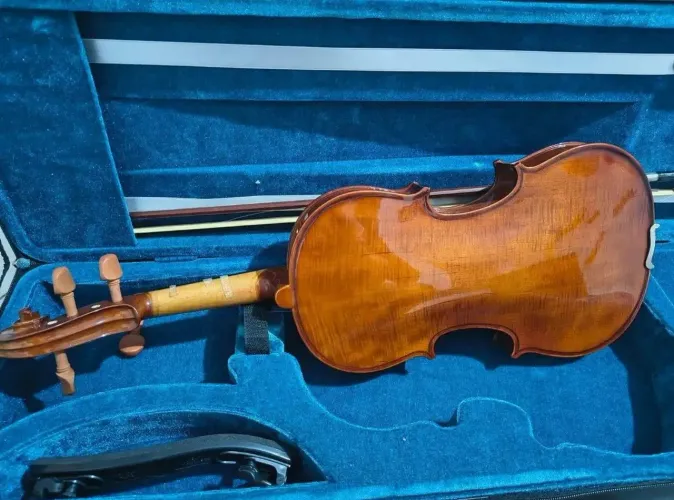Violino