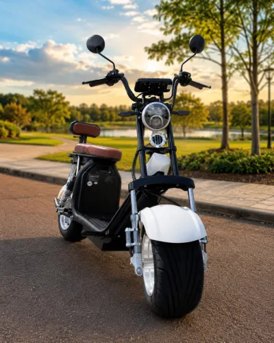 Scooter X11