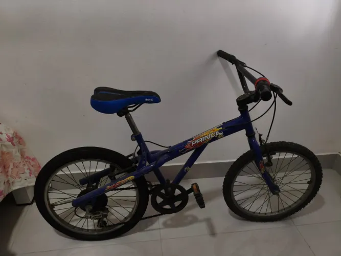 Bicicleta