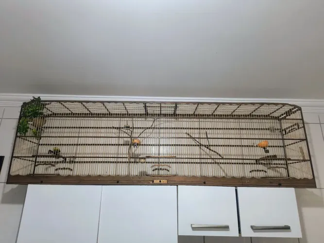 VOADOR 2M R$600,00 e rolo GRAJAÚ SP