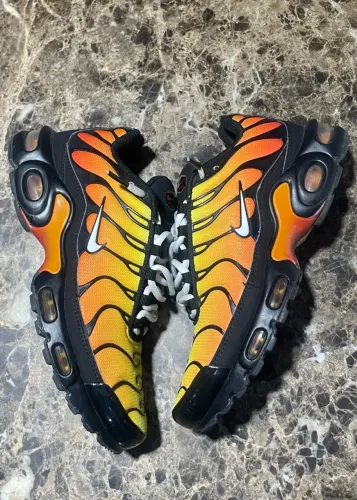 Air max plus ?Tiger?