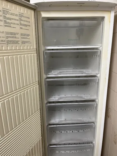 Freezer vertical
