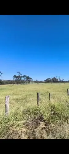 SITIO EM CAJURU 12 ALQUEIRES 2.500.000.00     ( DEC )