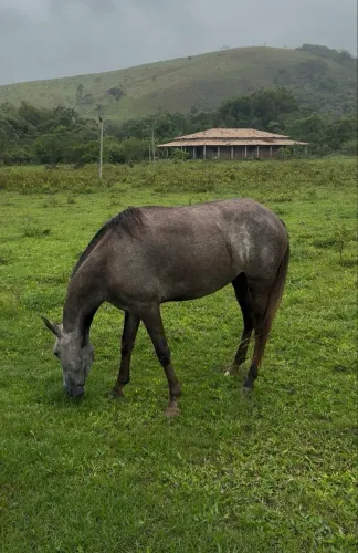 EGUA MM REGISTRADA