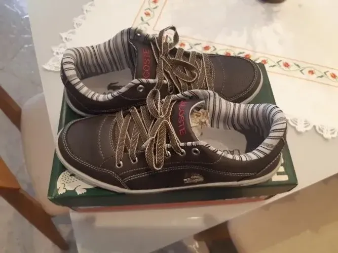 Tênis Casual Marrom Tipo Lacoste