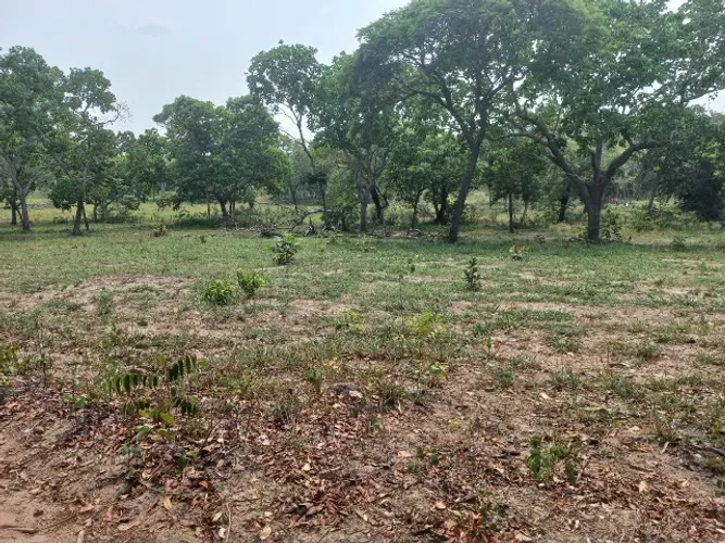 52 hectares Região de Cipolândia