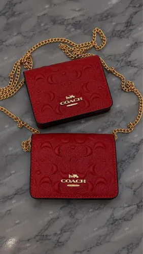 Mini coach