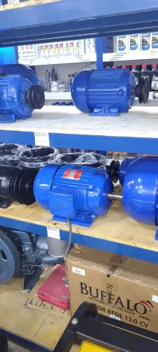 Motor Weg 5cv baixa rotação